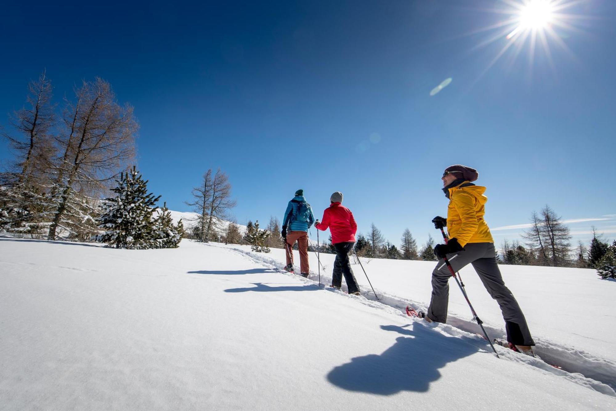 Feriendorf Murau By Alps Resorts Zewnętrze zdjęcie